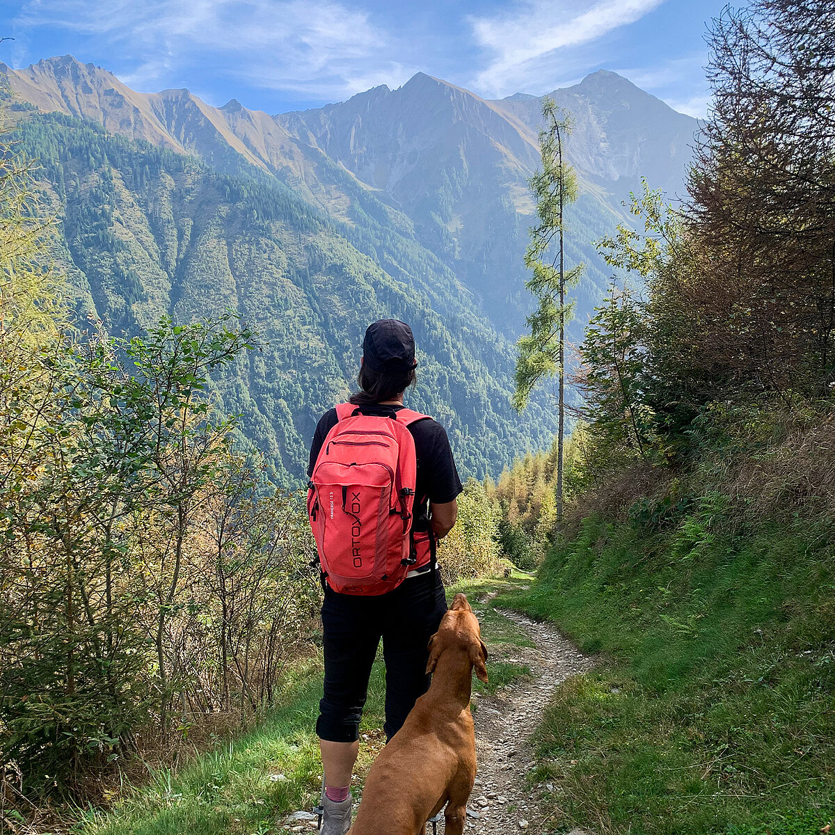 Diana Nickel mit ihrem Hund auf einem Wanderweg vor einem Bergpanorama